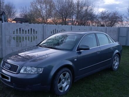 Сірий Ауді А4, об'ємом двигуна 2 л та пробігом 250 тис. км за 4500 $, фото 1 на Automoto.ua