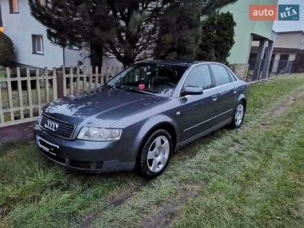 Ауди А4 2001 в Бердичеве на Automoto.ua Серый Ауди А4, объемом двигателя 1.98 л и пробегом 248 тыс. км за 4600 $, фото 1 на Automoto.ua
