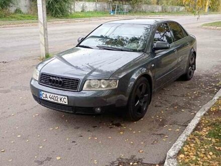 Ауді А4 2001 у Мироновке на Automoto.ua Сірий Ауді А4, об'ємом двигуна 2.5 л та пробігом 334 тис. км за 4300 $, фото 1 на Automoto.ua