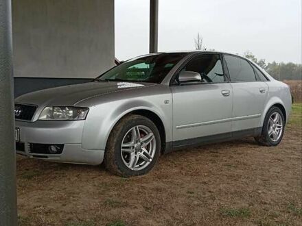 Ауди А4 2001 в Сторожинце на Automoto.ua Серый Ауди А4, объемом двигателя 1.98 л и пробегом 392 тыс. км за 4400 $, фото 1 на Automoto.ua