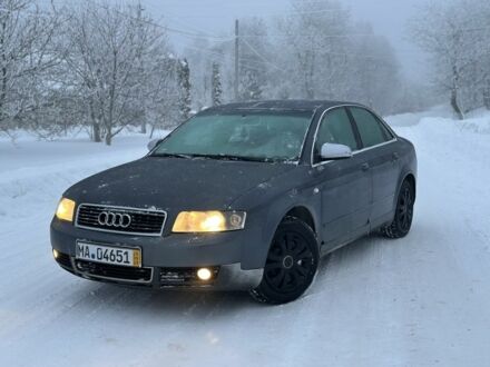 Серый Ауди А4, объемом двигателя 2 л и пробегом 250 тыс. км за 1799 $, фото 1 на Automoto.ua