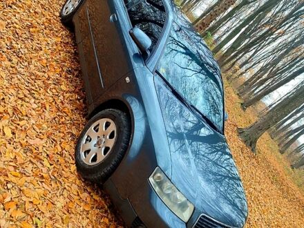 Ауди А4 2002 в Хмельницком на Automoto.ua Серый Ауди А4, объемом двигателя 20 л и пробегом 0 тыс. км за 4500 $, фото 1 на Automoto.ua