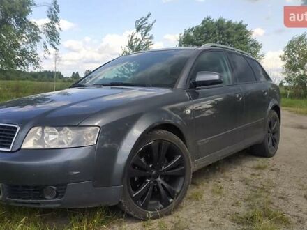Ауди А4 2002 в Рокитное на Automoto.ua Серый Ауди А4, объемом двигателя 1.9 л и пробегом 350 тыс. км за 3000 $, фото 1 на Automoto.ua