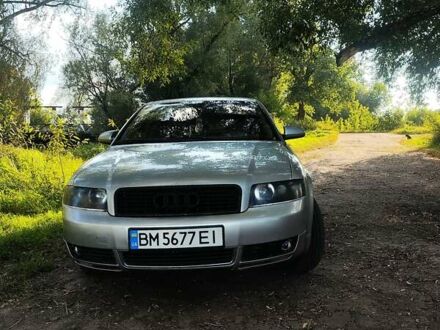 Ауди А4 2002 в Глухове на Automoto.ua Серый Ауди А4, объемом двигателя 1.98 л и пробегом 366 тыс. км за 5000 $, фото 1 на Automoto.ua