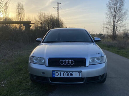 Ауди А4 2002 в Борисполе на Automoto.ua Серый Ауди А4, объемом двигателя 2 л и пробегом 224 тыс. км за 5450 $, фото 1 на Automoto.ua