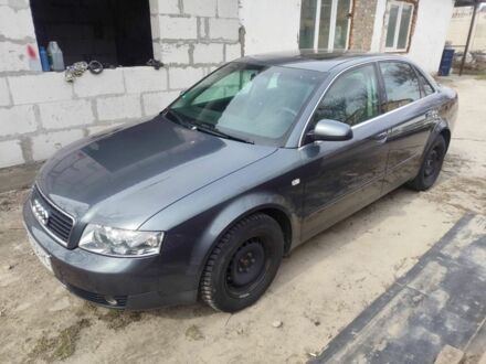 Ауді А4 2002 у Житомирі на Automoto.ua Сірий Ауді А4, об'ємом двигуна 1.6 л та пробігом 259 тис. км за 5600 $, фото 1 на Automoto.ua
