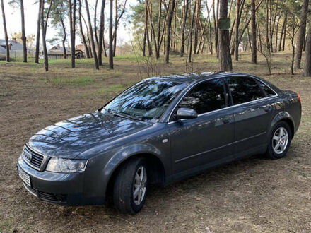 Серый Ауди А4, объемом двигателя 2 л и пробегом 350 тыс. км за 5300 $, фото 1 на Automoto.ua
