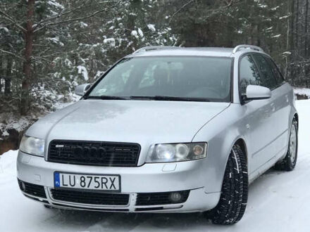 Ауди А4 2003 в Березно на Automoto.ua Серый Ауди А4, объемом двигателя 0 л и пробегом 320 тыс. км за 2500 $, фото 1 на Automoto.ua