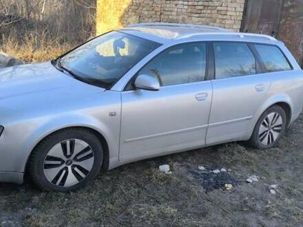 Ауди А4 2004 в Дубно на Automoto.ua Серый Ауди А4, объемом двигателя 2.5 л и пробегом 298 тыс. км за 4400 $, фото 1 на Automoto.ua