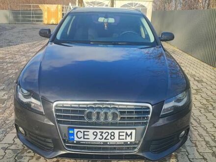 Ауди А4 2009 в Кицмане на Automoto.ua Серый Ауди А4, объемом двигателя 1.8 л и пробегом 183 тыс. км за 8200 $, фото 1 на Automoto.ua