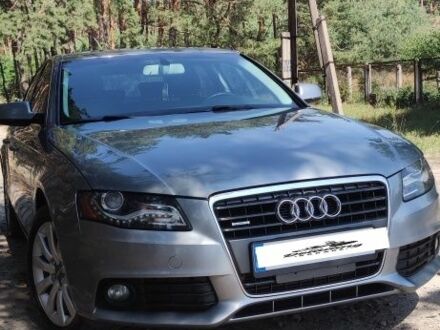 Ауди А4 2009 в Полтаве на Automoto.ua Серый Ауди А4, объемом двигателя 2 л и пробегом 256 тыс. км за 9500 $, фото 1 на Automoto.ua