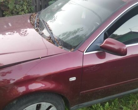 Красный Ауди А5, объемом двигателя 2.5 л и пробегом 3 тыс. км за 1536 $, фото 2 на Automoto.ua