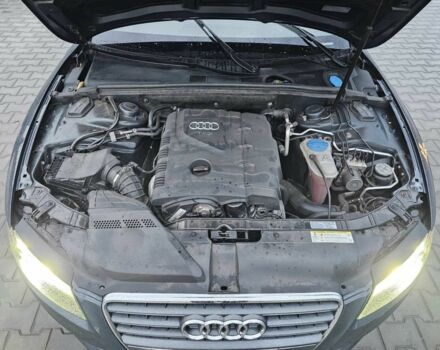 Ауді A5 2010 у Кривому Розі на Automoto.ua Сірий Ауді A5, об'ємом двигуна 2 л та пробігом 185 тис. км за 11999 $, фото 21 на Automoto.ua