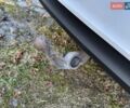 Ауді А6 2012 у Хмельницькому на Automoto.ua Білий Ауді А6, об'ємом двигуна 2 л та пробігом 286 тис. км за 13333 $, фото 28 на Automoto.ua