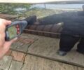 Черный Ауди А6, объемом двигателя 2.4 л и пробегом 135 тыс. км за 9200 $, фото 49 на Automoto.ua