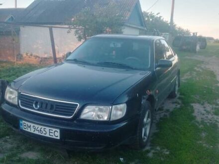 Ауди А6 1996 в Глухове на Automoto.ua Черный Ауди А6, объемом двигателя 2.6 л и пробегом 390 тыс. км за 2600 $, фото 1 на Automoto.ua