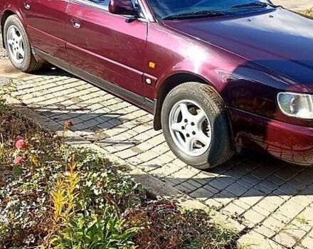 Ауди А6 1997 в Красноград на Automoto.ua Красный Ауди А6, объемом двигателя 2.5 л и пробегом 10 тыс. км за 4200 $, фото 10 на Automoto.ua