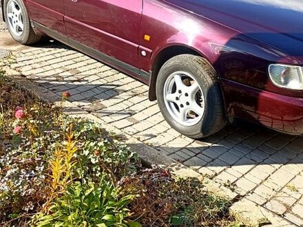 Ауди А6 1997 в Красноград на Automoto.ua Красный Ауди А6, объемом двигателя 2.5 л и пробегом 10 тыс. км за 4200 $, фото 1 на Automoto.ua