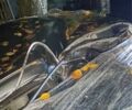 Серый Ауди А6, объемом двигателя 2.4 л и пробегом 2 тыс. км за 700 $, фото 10 на Automoto.ua