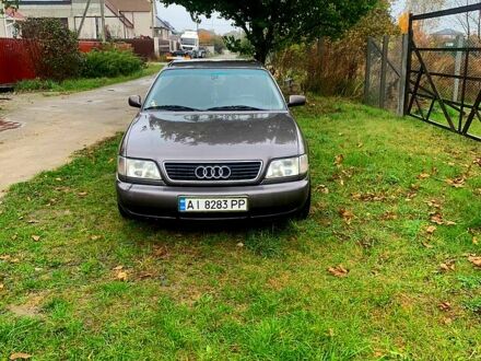 Ауди А6 1996 в Бородянке на Automoto.ua Серый Ауди А6, объемом двигателя 2.5 л и пробегом 541 тыс. км за 3600 $, фото 1 на Automoto.ua