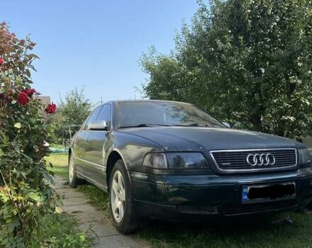 Ауди А8 1997 в Обухове на Automoto.ua Черный Ауди А8, объемом двигателя 3.7 л и пробегом 280 тыс. км за 3000 $, фото 1 на Automoto.ua