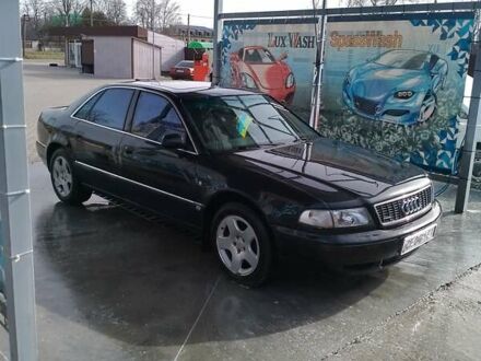 Ауди А8 1995 в Вижнице на Automoto.ua Черный Ауди А8, объемом двигателя 4.2 л и пробегом 338 тыс. км за 4200 $, фото 1 на Automoto.ua