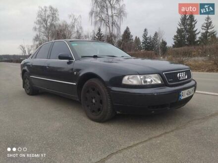 Ауди А8 1998 в Белой Церкве на Automoto.ua Черный Ауди А8, объемом двигателя 4.2 л и пробегом 431 тыс. км за 3450 $, фото 1 на Automoto.ua
