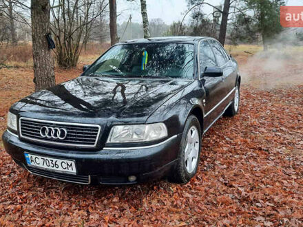 Ауди А8 2000 в Шацке на Automoto.ua Черный Ауди А8, объемом двигателя 4.2 л и пробегом 420 тыс. км за 4200 $, фото 1 на Automoto.ua