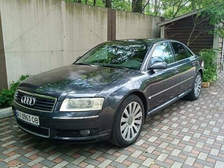 Ауди А8 2003 в Буче на Automoto.ua Серый Ауди А8, объемом двигателя 3.94 л и пробегом 438 тыс. км за 7000 $, фото 1 на Automoto.ua