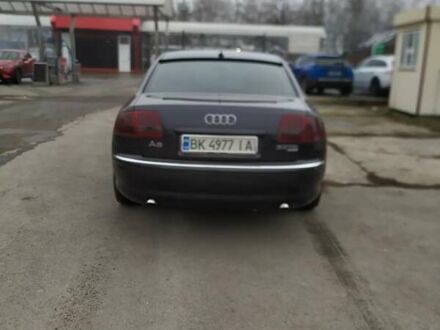 Ауди А8 2004 в Ровно на Automoto.ua Серый Ауди А8, объемом двигателя 2.97 л и пробегом 390 тыс. км за 6300 $, фото 1 на Automoto.ua
