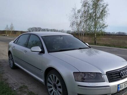 Ауді A8 2004 у Чернігові на Automoto.ua Сірий Ауді A8, об'ємом двигуна 2.98 л та пробігом 400 тис. км за 6800 $, фото 1 на Automoto.ua