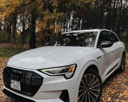 Белый Ауди E-Tron, объемом двигателя 0 л и пробегом 106 тыс. км за 32000 $, фото 11 на Automoto.ua