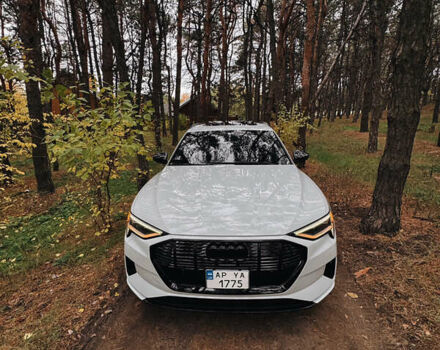 Белый Ауди E-Tron, объемом двигателя 0 л и пробегом 106 тыс. км за 32000 $, фото 7 на Automoto.ua