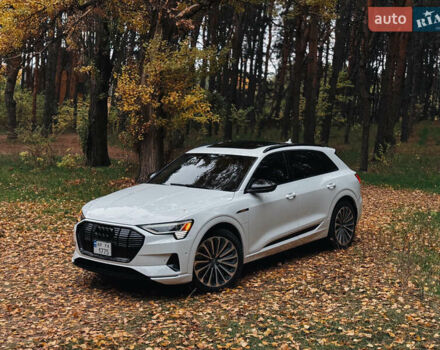 Белый Ауди E-Tron, объемом двигателя 0 л и пробегом 106 тыс. км за 32000 $, фото 13 на Automoto.ua
