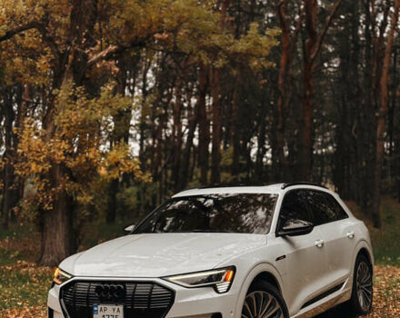 Белый Ауди E-Tron, объемом двигателя 0 л и пробегом 106 тыс. км за 32000 $, фото 10 на Automoto.ua