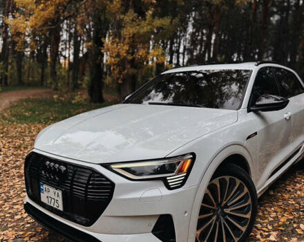 Белый Ауди E-Tron, объемом двигателя 0 л и пробегом 106 тыс. км за 32000 $, фото 9 на Automoto.ua