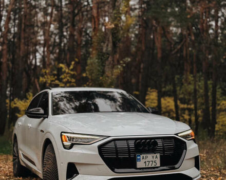 Белый Ауди E-Tron, объемом двигателя 0 л и пробегом 106 тыс. км за 32000 $, фото 12 на Automoto.ua