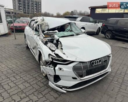Белый Ауди E-Tron, объемом двигателя 0 л и пробегом 40 тыс. км за 13200 $, фото 1 на Automoto.ua