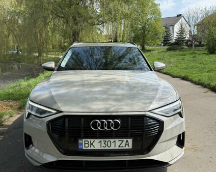 Бежевый Ауди E-Tron, объемом двигателя 0 л и пробегом 49 тыс. км за 34500 $, фото 21 на Automoto.ua