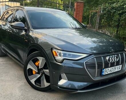 Серый Ауди E-Tron, объемом двигателя 0 л и пробегом 159 тыс. км за 25800 $, фото 1 на Automoto.ua
