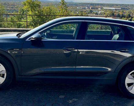 Серый Ауди E-Tron, объемом двигателя 0 л и пробегом 175 тыс. км за 22700 $, фото 9 на Automoto.ua