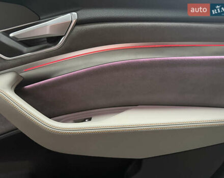 Ауди E-Tron 2020 в Киеве на Automoto.ua Серый Ауди E-Tron, объемом двигателя 0 л и пробегом 71 тыс. км за 35300 $, фото 14 на Automoto.ua