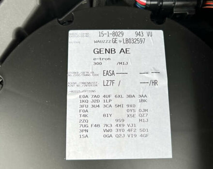 Серый Ауди E-Tron, объемом двигателя 0 л и пробегом 42 тыс. км за 66666 $, фото 28 на Automoto.ua