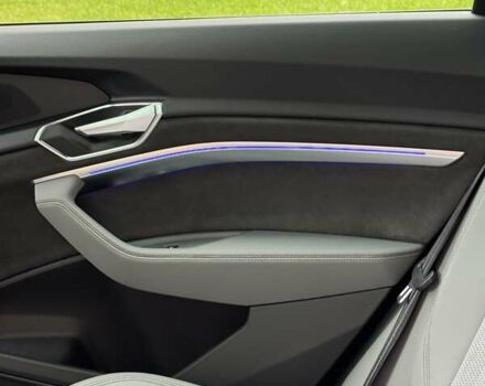 Серый Ауди E-Tron, объемом двигателя 0 л и пробегом 47 тыс. км за 40500 $, фото 6 на Automoto.ua