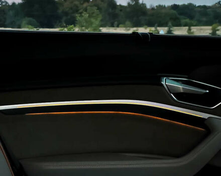 Серый Ауди E-Tron, объемом двигателя 0 л и пробегом 63 тыс. км за 40999 $, фото 43 на Automoto.ua