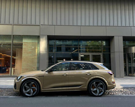 Серый Ауди E-Tron, объемом двигателя 0 л и пробегом 35 тыс. км за 50000 $, фото 7 на Automoto.ua