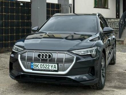 Серый Ауди E-Tron, объемом двигателя 0 л и пробегом 50 тыс. км за 33900 $, фото 1 на Automoto.ua