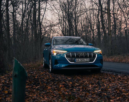 Синий Ауди E-Tron, объемом двигателя 0 л и пробегом 62 тыс. км за 32900 $, фото 9 на Automoto.ua