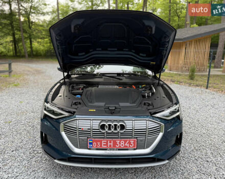 Синій Ауді E-Tron, об'ємом двигуна 0 л та пробігом 165 тис. км за 24900 $, фото 50 на Automoto.ua