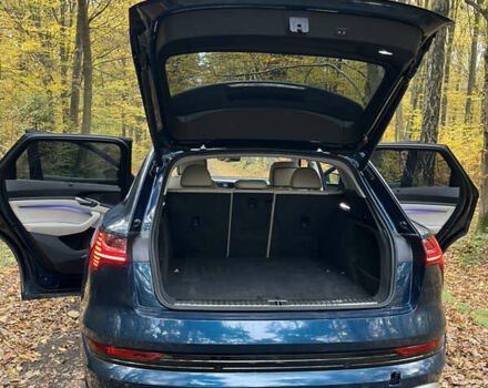 Синий Ауди E-Tron, объемом двигателя 0 л и пробегом 59 тыс. км за 33900 $, фото 16 на Automoto.ua